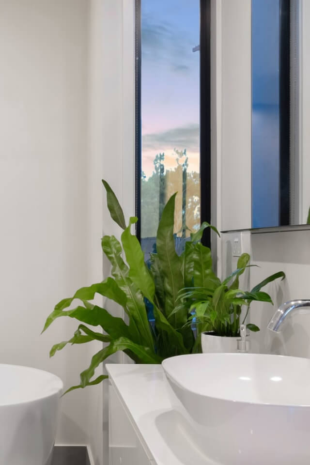 Birdnest Japanese - الصورة 2